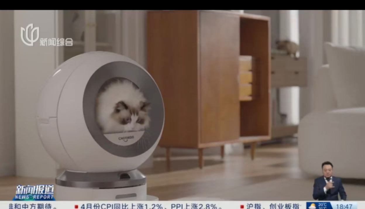 青年报·青春上海 报道